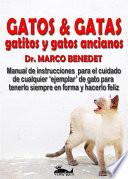 Gatos, Gatas, Gatitos Y Gatos Ancianos