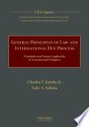 General Principles of Law and International Due Process