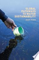 Global Pathways to Water Sustainability