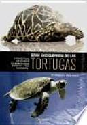 Gran enciclopedia de las tortugas