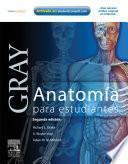 Gray. Anatomía para estudiantes