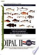 Guía de identificación de peces marinos del mar Caribe de Nicaragua