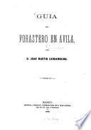 Guía del forastero en Ávila