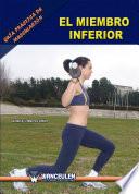 Guía práctica de musculación: el miembro inferior
