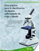 Guia practica para la identificacion de algunas enfermedades de trigo y cebada
