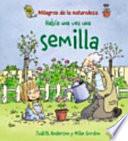 Había una vez una semilla