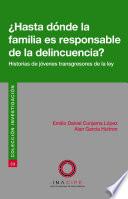 ¿Hasta dónde la familia es responsable de la delincuencia?