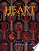 Heart Development