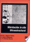 Hibridación in situ ultraestructural