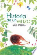 Historia de un erizo