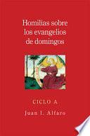 Homilias Sobre Los Evangelios de Domingos