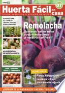 Huerta Fácil en casa 7 - Cultiva desde pequeños a grandes espacios