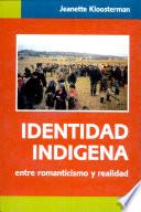Identidad indígena