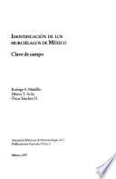 Identificación de los murciélagos de México