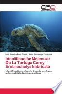 Identificación Molecular De La Tortuga Carey Eretmochelys Imbricata