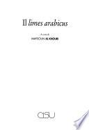 Il limes arabicus