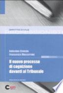 Il nuovo processo di cognizione davanti al tribunale