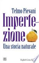 Imperfezione