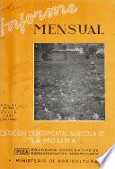 Informe mensual