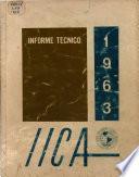 Informe técnico