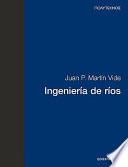 Ingeniería de ríos