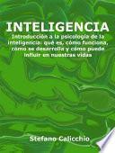 Libro Inteligencia