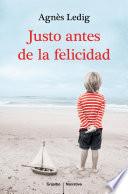 Justo antes de la felicidad