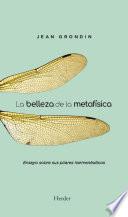 La belleza de la metafísica