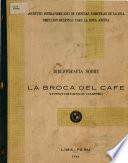 la broca del cafe