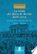 La caída del Muro de Berlín desde cerca