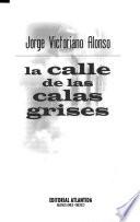 La calle de las calas grises