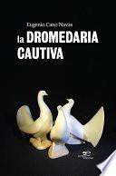 La dromedaria cautiva