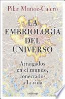 La embriología del universo