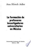 La formación de profesores investigadores universitarios en México