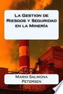 La Gestion de Riesgos y Seguridad en la Minera