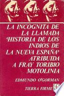 La incógnita de la llamada Historia de los indios de la Nueva España atribuida a fray Toribio Motolinía