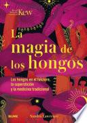 La magia de los hongos