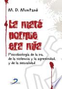 La maté porque era mía