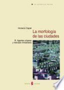 La morfología de las ciudades. Tomo III