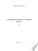 La necrópolis romana de Carmona (Sevilla): Láminas