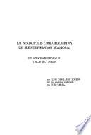 La necrópolis tardorromana de Fuentespreadas, Zamora