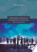 La protección del inversor en el programa de notas a medio plazo. -Medium term note programme-