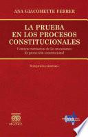 La prueba en los procesos constitucionales