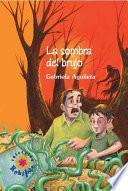 La sombra del brujo