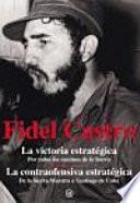 La victoria estratégica. La contraofensiva estratégica