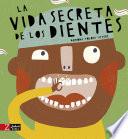 La vida secreta de los dientes