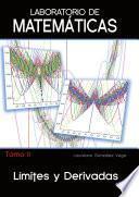 Laboratorio de Matematicas vol.2
