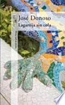 Lagartija sin cola
