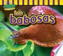 Las babosas