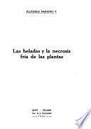 Las heladas y la necrosis fría de las plantas